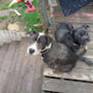 Meet your Posher, Cory